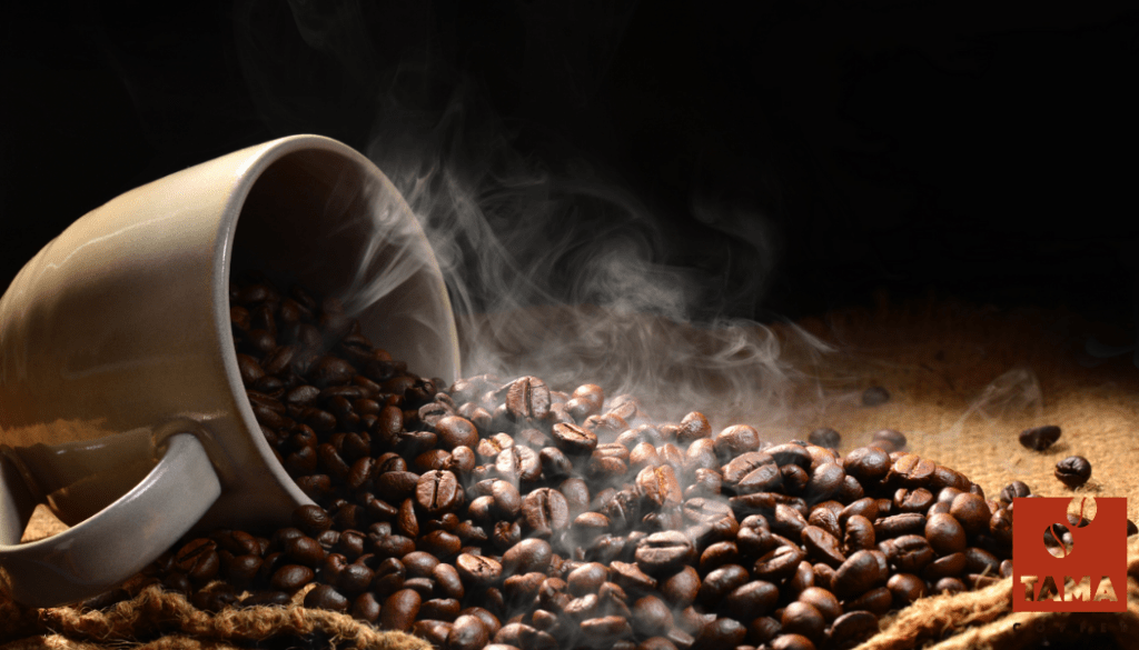Tama Caffè, la storia degli artigiani del&nbsp;caffè.